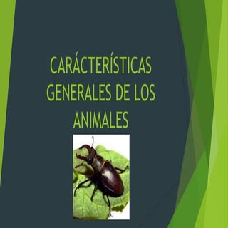 4.1. características generales de l...