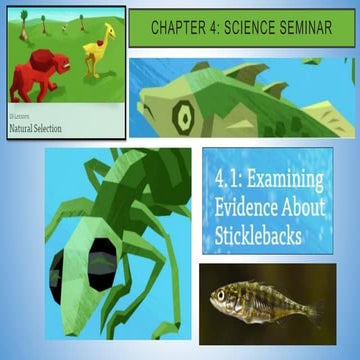 Examining Evidence About Sticklebacks