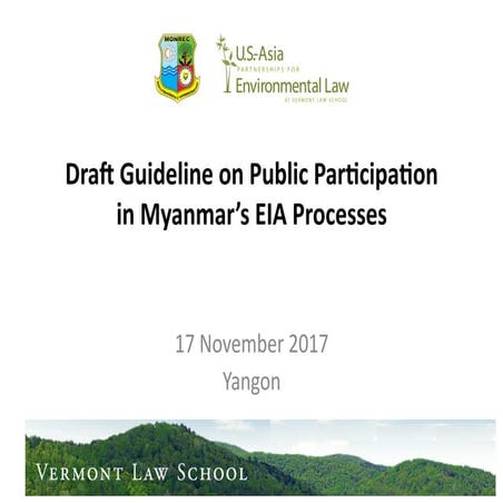 4. Outline Public Participation Guidelines - Baird | PDF