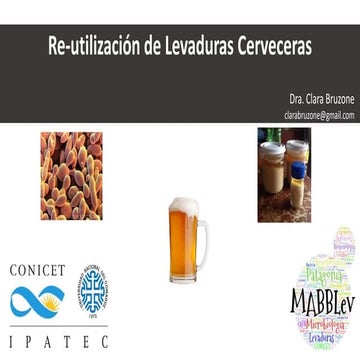 4. Re-utilización de Levaduras de Cervezas - JT Valorización de Subproducto de Cerveza - 
