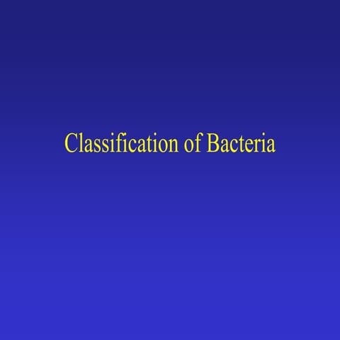 4. bacterial classification