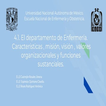 4.1. el departamento de enfermería.  características , misión, visión , valor...