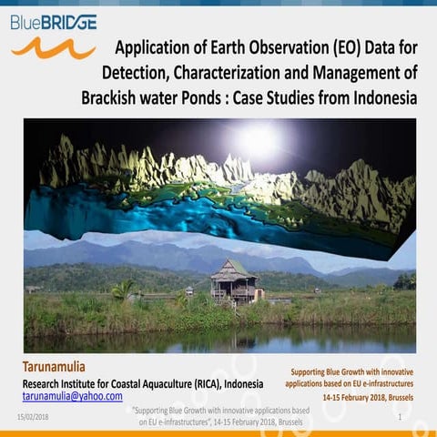 Application of Earth Observation (EO) Data for Detection, Characterization an...