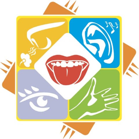 sensory component | PPTX