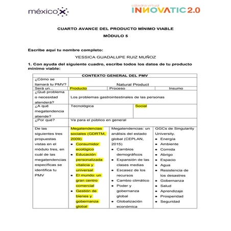 4.cuarto avance del_pmv.doc pita