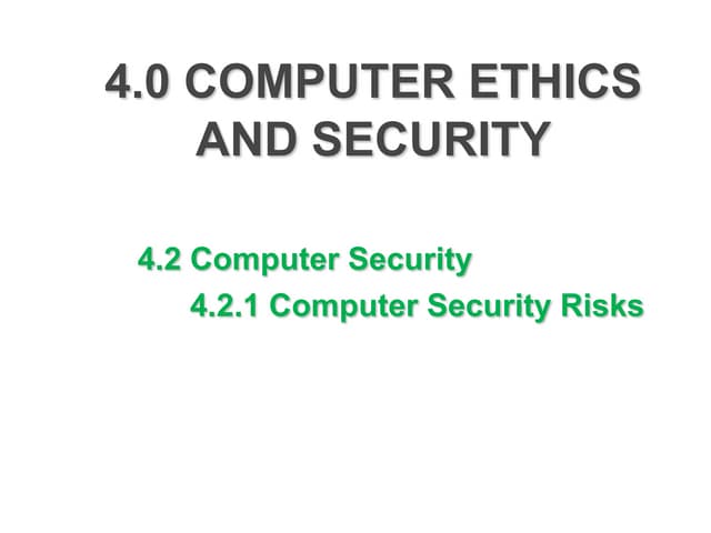 4.2.1 computer security risks
