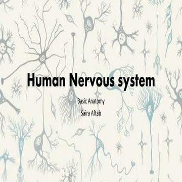 4. nervous system
