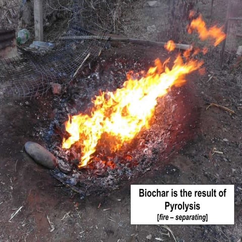 Biochar 3