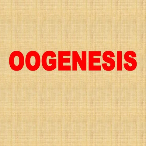 Oogensis