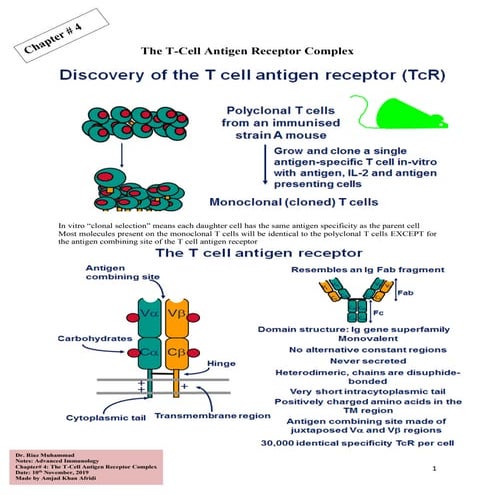 The T-Cell Antigen Receptor Complex