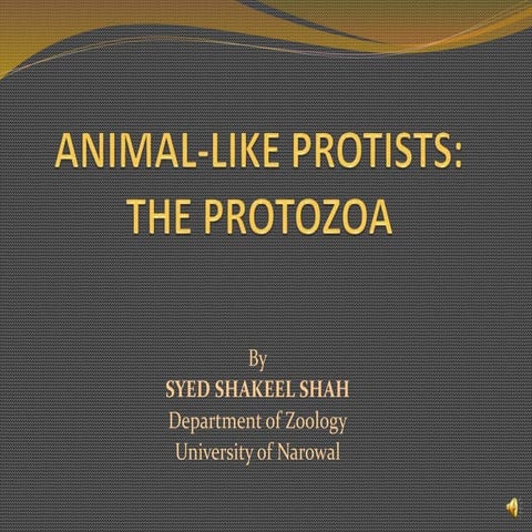 Animal like protist the protozoa