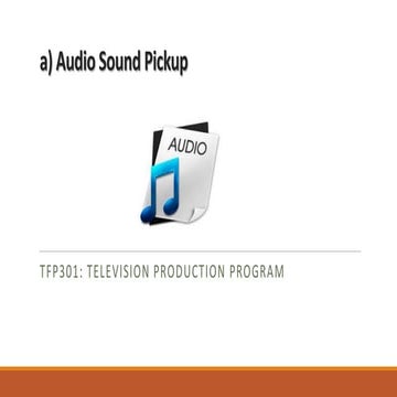 FLT 214 04.audio sound pickup