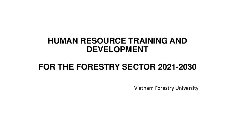 thumbnail of  Human resource training and development for the forestry sector 2021-2030