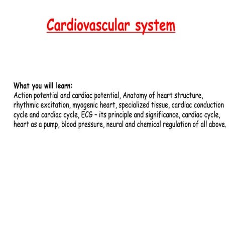 4. cardiovascular system