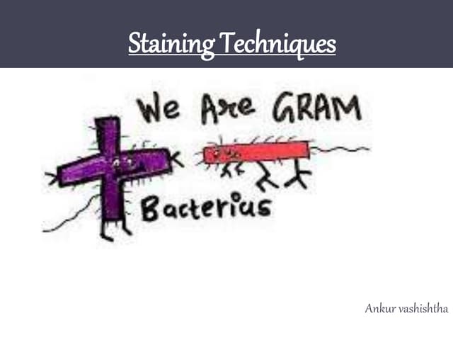 Staining techniques