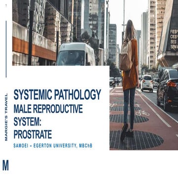 4. PATHOLOGY OF THE PROSTATE.pptx