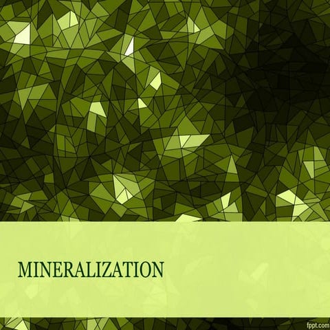 4. mineralization.ppt