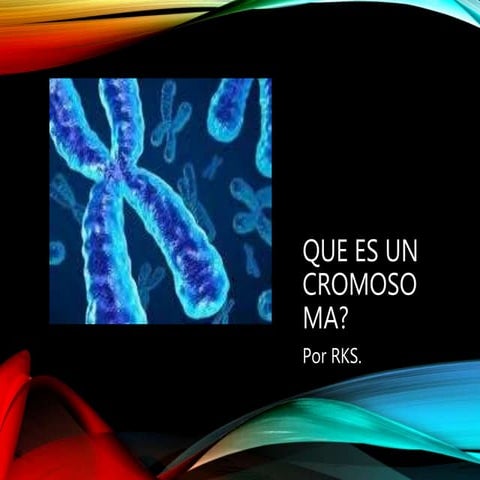 4. Que es un cromosoma.pptx