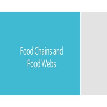 4.food_chains_and_food_webs ste 7.pptx