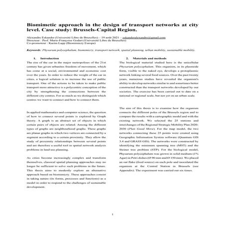 Biomimetic approach in the design of transport networks at city level. Case s...