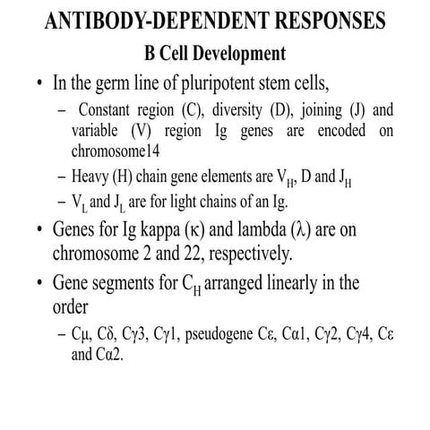4.ANTIBODY-DEPENDENT RESPONSES.ppt