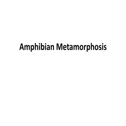 4.10.19_Amphibian_Metamorphosis.pdf
