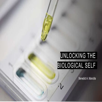 Unlocking The Secrets Of Biological Surplus A Scientific Deep Dive - 86tiugv