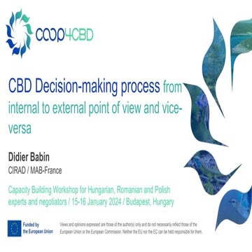4. CBD Decision-making process from internal to external point of view and vi...