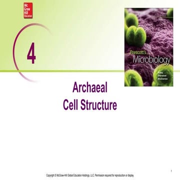 4. Archeal Cell Structure (Prescott).ppt