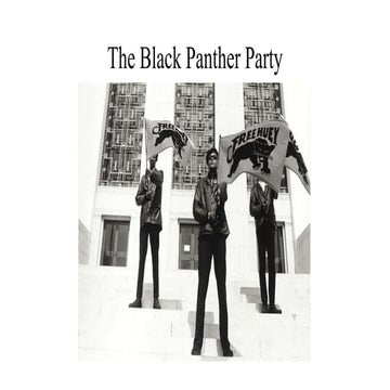 4.2.24 The Black Panther Party for Self-Defense.pptx