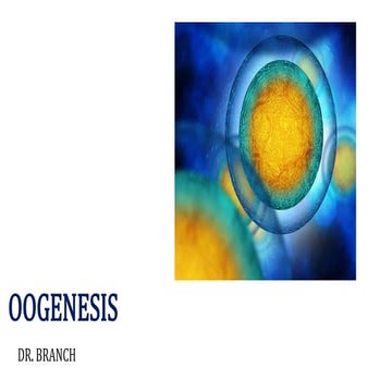 OOGENESIS. Class XII Biology presentation | PDF