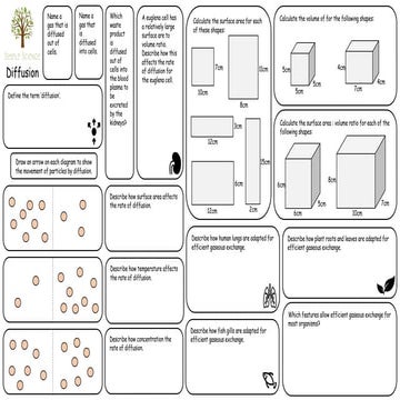 4.1.3-Transport-in-Cells  worksheet.pptx