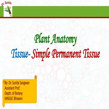 Simple permanent tissue- Parenchyma, Collenchyma and Sclerenchyma