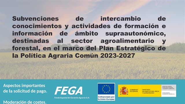 4. Aspectos importantes de la solicitud de pago y moderación de costes