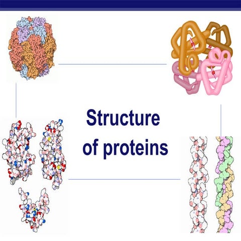 materi tentang protein yang diberikan saat perkuliahan