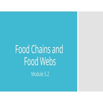 4.food_chains_and_food_webs.pptx for age