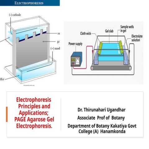 4. Electrophorosis.pptx  Dr Thirunahari Ugandhar