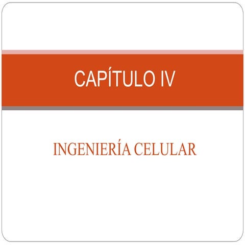 4.1 Mitosis y meiosis mmmmmmmmmmmmmm.ppt