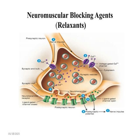 4.muscle relaxant.pptx chik dds no d no fe w