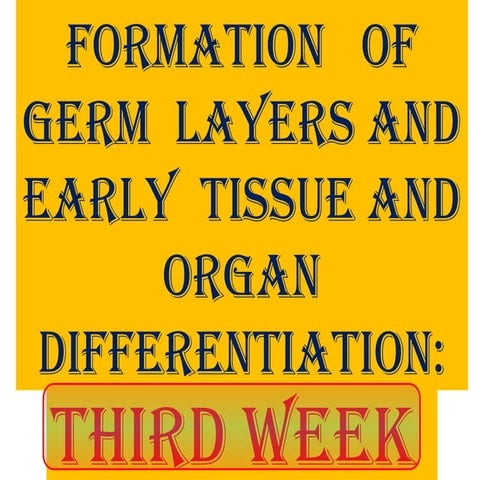 4. Embryonic period.    ( WEEK 3-8).pptx