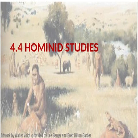 4.4 Hominid evolution.pptx xxxxxxxxxxxxx