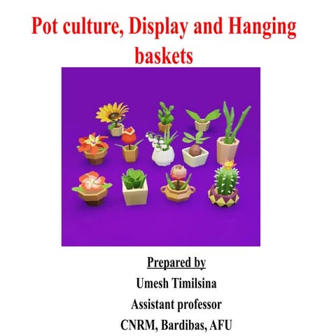4.Pot culture, display and hanging baskets.pptx