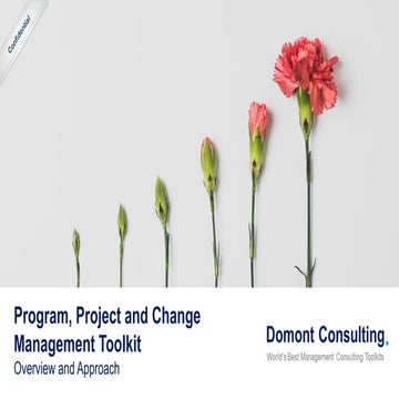 4. Program, Project and Change Management Toolkit - Overview.pptx