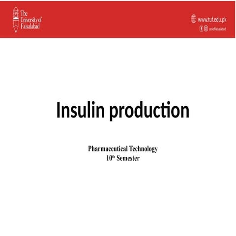 4. Insulin production.pptx insulin production pharmacology