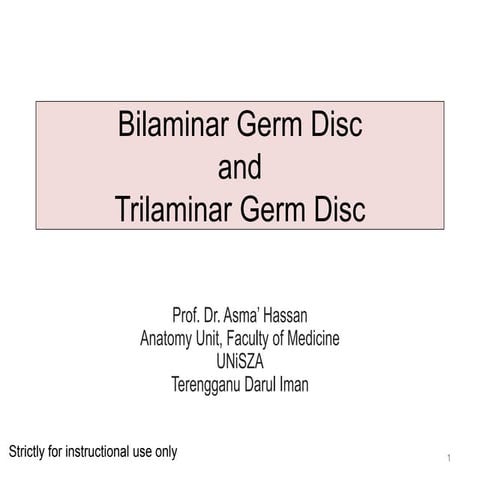 4. Bilaminar and Trilaminar Germ Discs.pdf