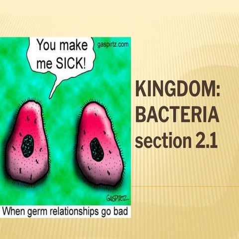 4.0 Kingdom Bacteria.pptx.pdf Presentation