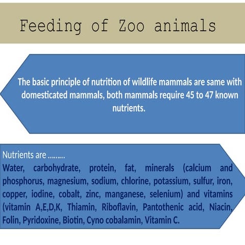 Comprehensive Guide to Feeding and Nutrition Management of Zoo Animals ...