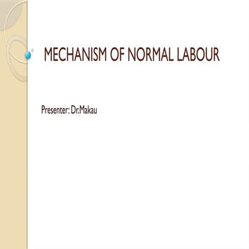 Breech mech of labour | PPTX
