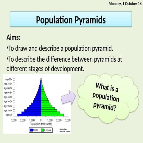 Types of Population Pyramids | PPT