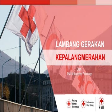 Comprehensive Overview of the Red Cross Movement Emblems and Their ...